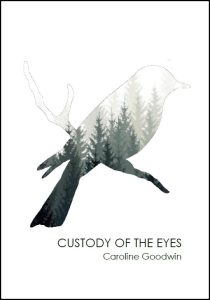 Caroline Goodwin: Custody of the Eyes