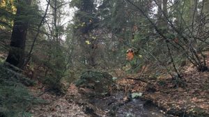 Creative Writing students write on urban water sustainability in connection with the City of Vancouver